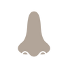 Riechen